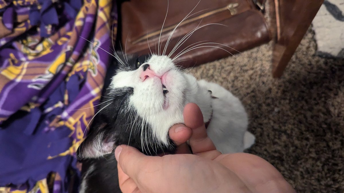 SamRoot43's tweet image. Scratchies