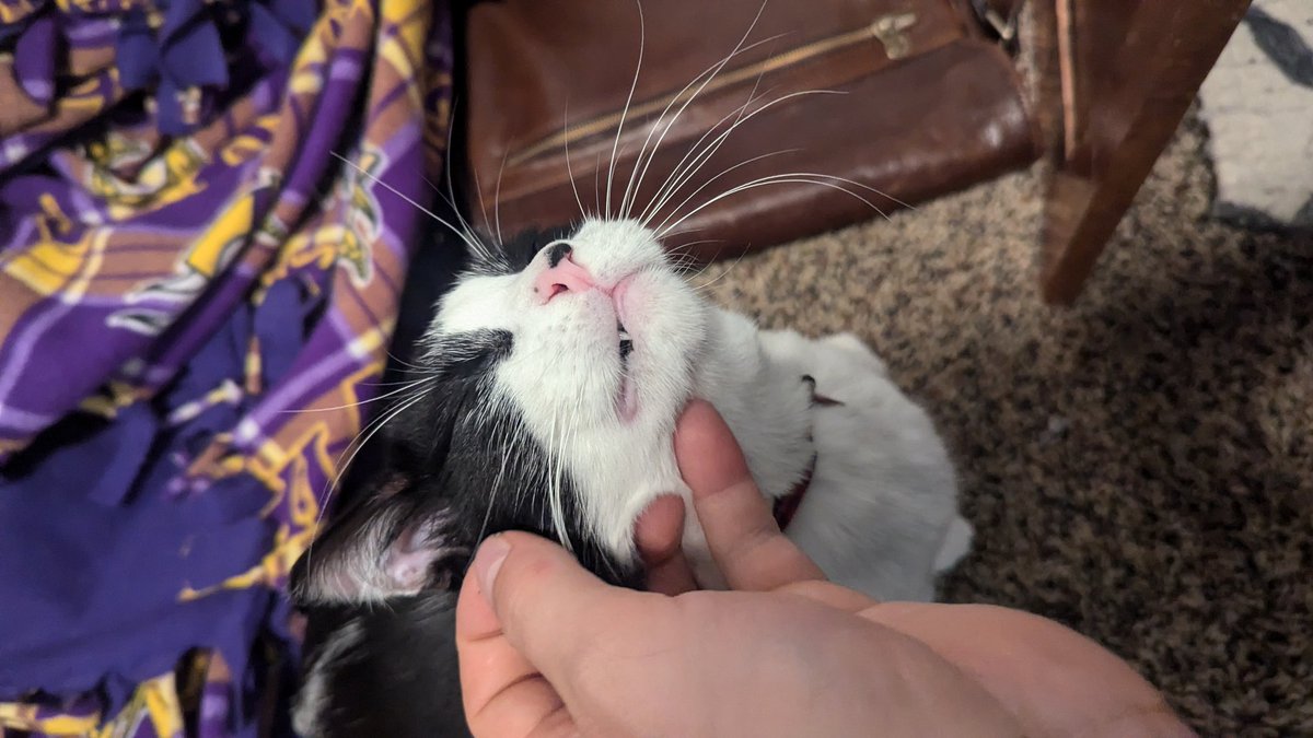 SamRoot43's tweet image. Scratchies