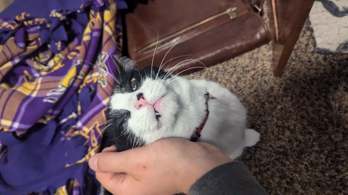 SamRoot43's tweet image. Scratchies