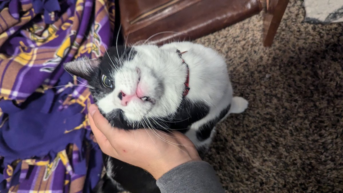 SamRoot43's tweet image. Scratchies