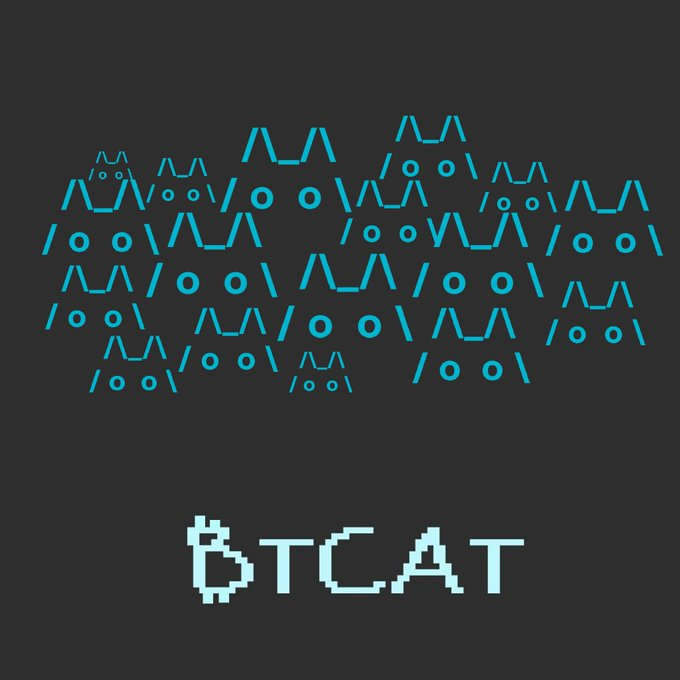 cult of the first cat