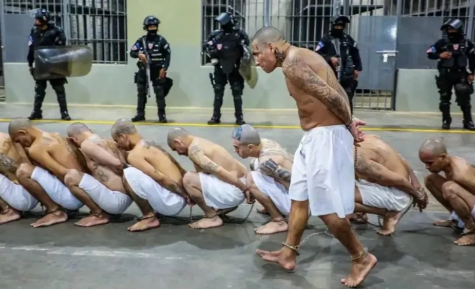 harryelsocio's tweet photo. Esto, pero con políticos. Da RT si a tí también se te saltan las lágrimas sólo de imaginarlo. https://t.co/YZLieqI5rN