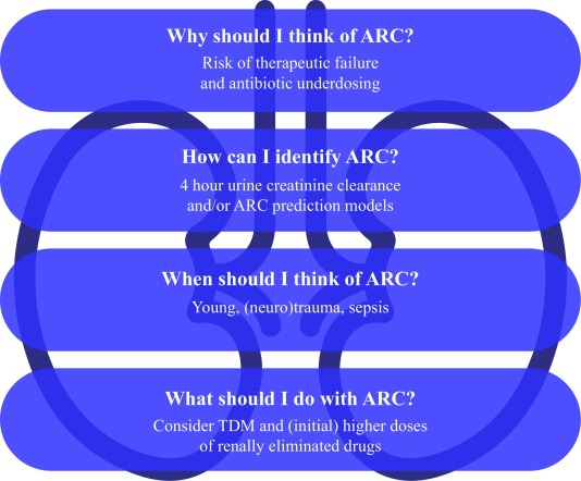 What every intensivist should know about augmented renal (ARC)?

sciencedirect.com/science/articl…