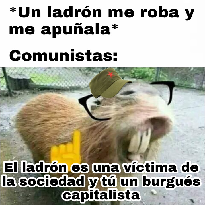 NoVive_Socialis's tweet photo. Comunista promedio https://t.co/J562QZreoQ