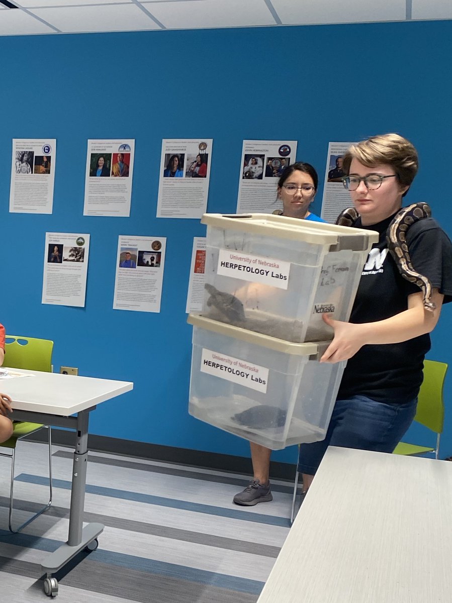 Ryleigh Grove (she/her) (@r_j_grove) on Twitter photo Huge thanks to <a href="/UNLincoln/">University of Nebraska-Lincoln</a> Morrill Hall for inviting the <a href="/UNLSNR/">Nebraska SNR</a> Herpetology Lab to showcase live herpetofauna at Discovery Days camp last week! 🦎🐍 Huge thanks to <a href="/UNLincoln/">University of Nebraska-Lincoln</a> Morrill Hall for inviting the <a href="/UNLSNR/">Nebraska SNR</a> Herpetology Lab to showcase live herpetofauna at Discovery Days camp last week! 🦎🐍