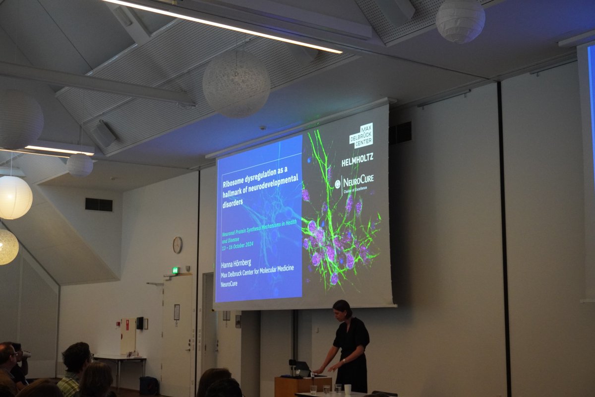 FENSorg's tweet photo. 🧠 October 2024 #BrainConference: Day 4!
 
The last sessions offered insights on #RNA Translation and Proteostasis in Neurodevelopmental Disorders before the Conference closing ✨

#FENS @Lundbeckfonden @BrainPrize 
@LippiLab @NicoleCalakos @TessaRobberech2 @HannaHornberg https://t.co/3T2zGkZ51f