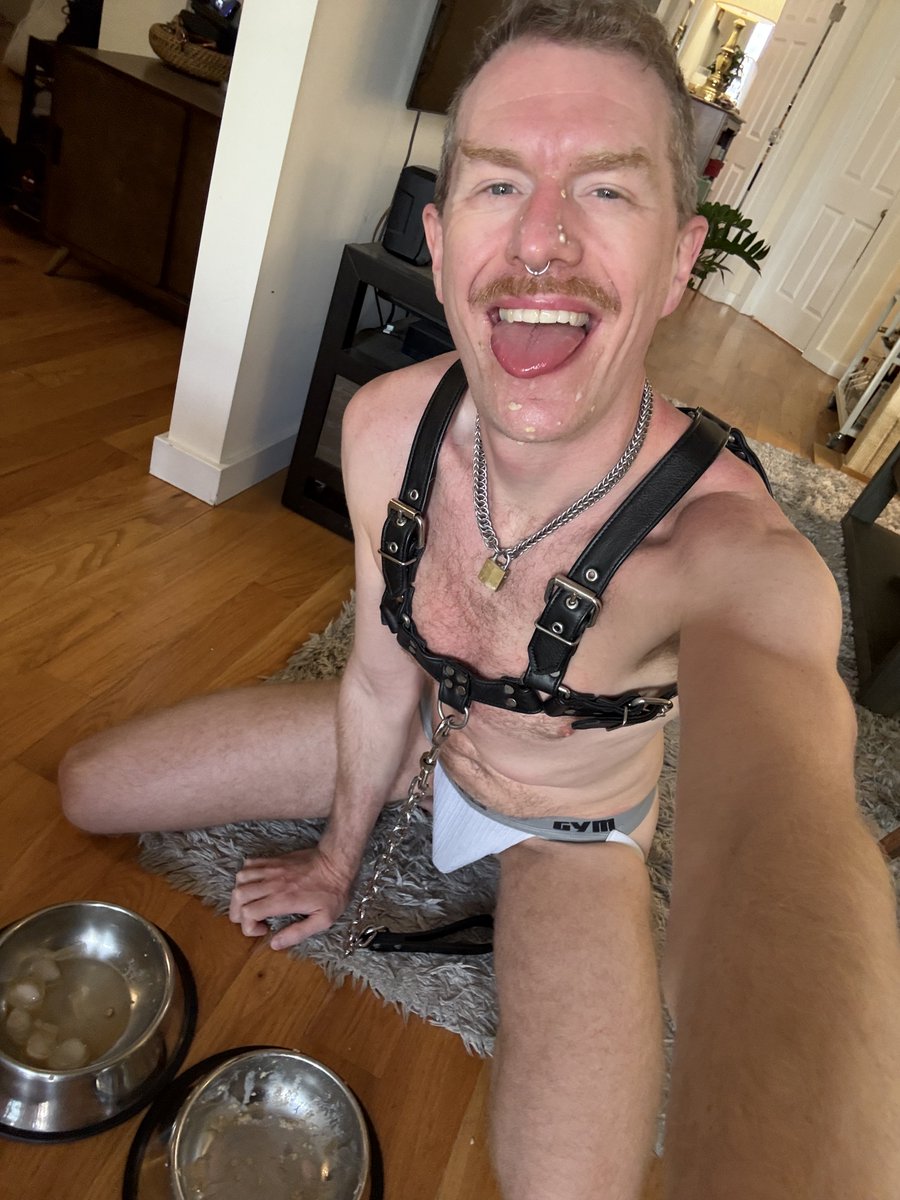 petercagenyc's tweet photo. As an omega faqqot, it's my job to be as malleable and accommodating to my superiors as possible. A faqqot is like a blank slate: empty-headed, eager, submissive, and in desperate need of training. If a Man needs a sissy, or a drone, or a maid, or a fucktoy, or just a foot rest, it's a faq's job to accommodate.

This week @samjame12961912 is being kind enough to train me as a pupper! Gosh, I feel like suuuch a lucky dog. I get a big silly tail to wag 24/7, I have my comfy crate to crawl into at night or when I get overwhelmed, and I get to eat my tasty food from my bowl without thinking about making a mess! And if I get frustrated and start humping when I shouldn't, I know I'll be corrected right away. Gosh, being a doggo is just the best!