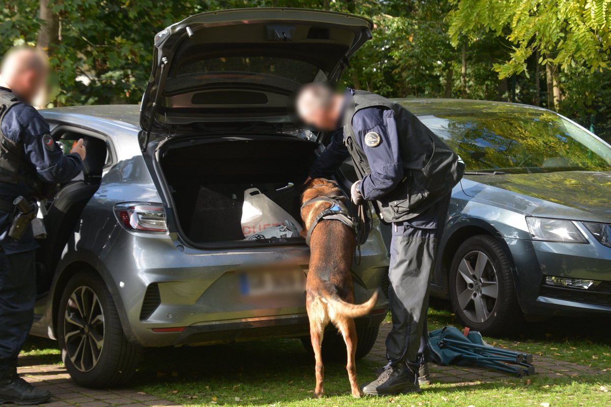 PoliceNat95's tweet image. #OpérationPlaceNette
#Montigny le 15/10, démantèlement d'1 trafic de stupéfiants
✔️ 7 #interpellations
➡️ #cannabis et 💶 saisis

Suivi de 3 jours d’opérations interservices de sécurisation et de contrôle menées par @PoliceNat95 secteur de la gare et quartier des Frances