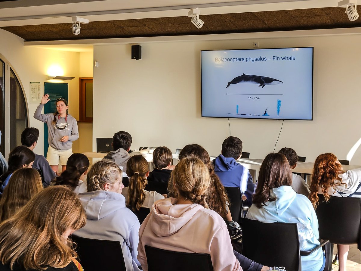MARILIMITADO's tweet photo. Over the last two days we've welcomed a group of students from an international school in Carcavelos. They had a lecture and then a boat trip where they observed common dolphins!

1, 3 📸 @millecampsLuana
4 📸 @InesOAfonso https://t.co/EDPJVrtCUB