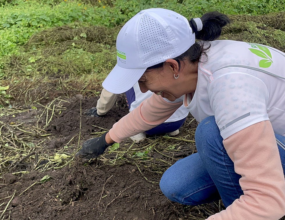 Norte 19, Promotora de Hoteles y Ecopil MX crean alianza para reverdecer México
teorema.com.mx/tendencias/nor…