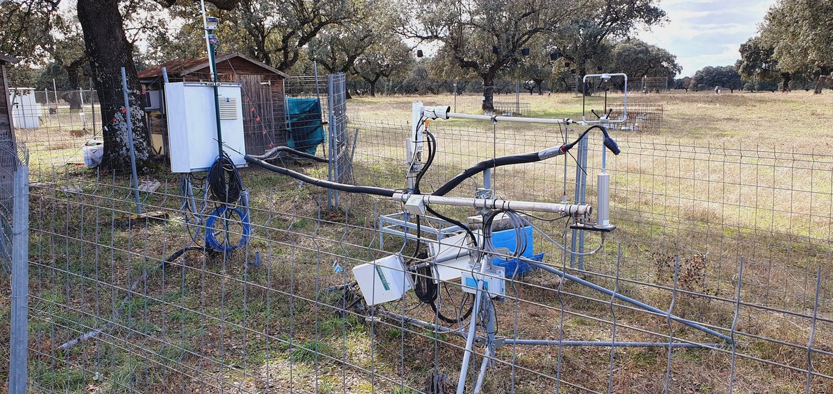 BGC Field Experiments tweet media