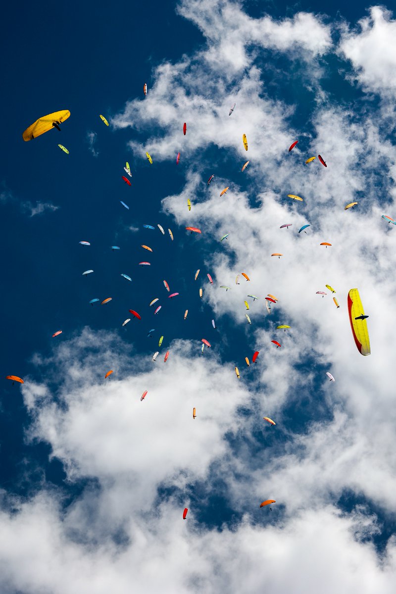 itsdavey tweet media