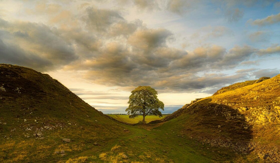 arts_cumbria's tweet photo. FRI ZOOM
A year ago the Sycamore Gap tree was illegally felled. Hear about an artistic response in a new exhibition at The Sill by Cumbrians.

Lots of ideas bubbling around in Carlisle right now, Steve Dunn at Cumberland reveals all.

&amp; Cumbrian sewing retreats with Izzy Butcher! https://t.co/VI5Uzmgdp4