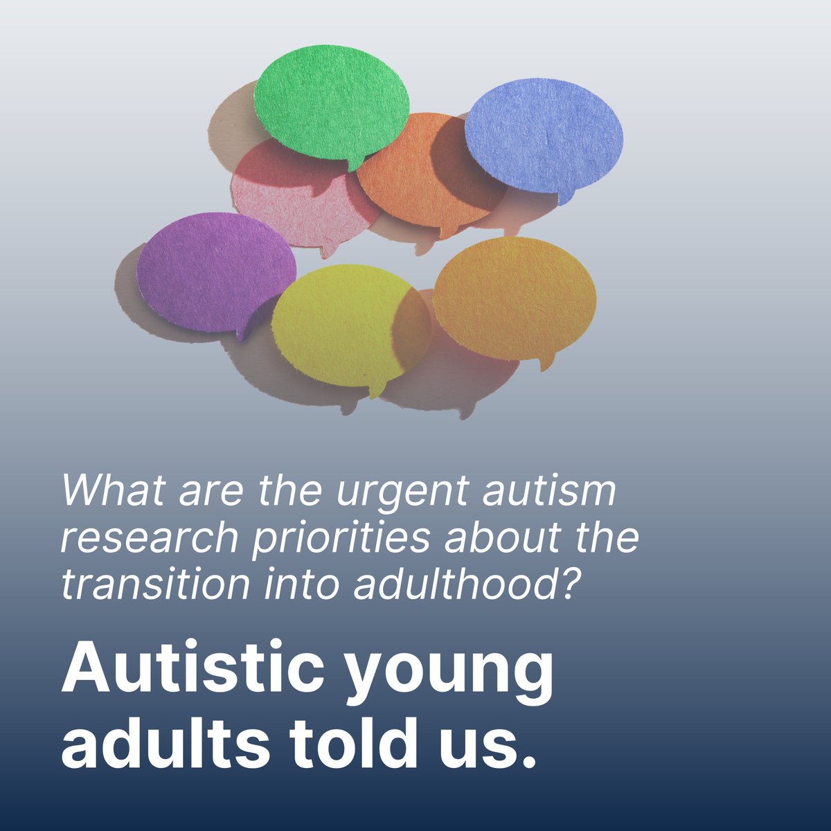 Policy Impact Project tweet media