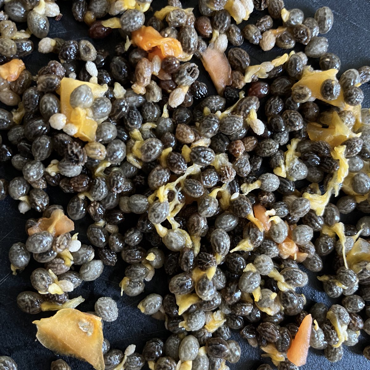SabzerAzoh's tweet photo. Imbhewu kaNhlwanyene (Papaya seeds) inamandla ekuxosheni imimoya emibi. Imbhewu yalesi sithelo iyonyiswa ngaphansi komthunzi obandayo. Uma isiyomile ibekwa phezukodengezi bese kuyashiswa kuphakame umusi, lowomusi yiwo olekelela ekutheni imimoya emibi ixosheke. https://t.co/YitAwmk03w