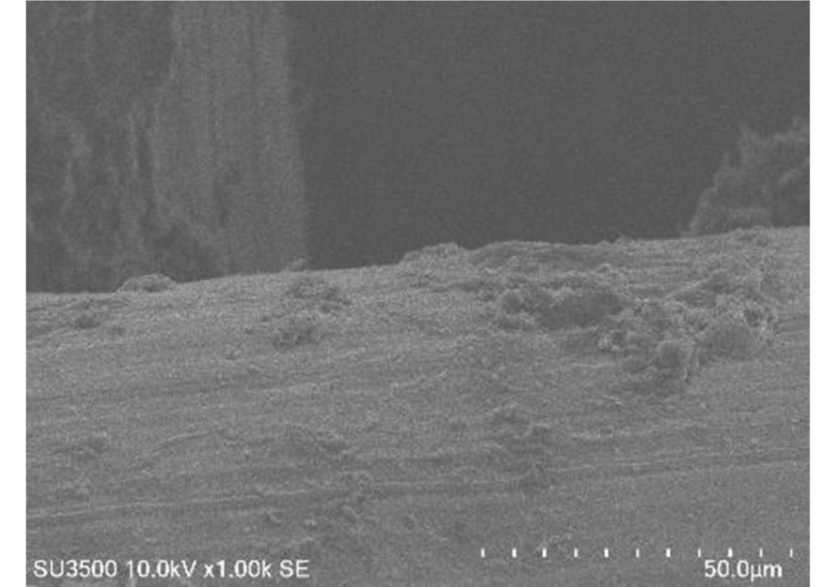 JEngTechSci's tweet photo. The Effect of Illumination, Electrode Distance, and Illumination Periods on the Performance of Phototrophic Sediment Microbial Fuel Cells(PSMFCs)
#biofilm #electrodedistance #illuminationperiod #powerdensity #PSMFC
https://t.co/wSU4qC2rMG https://t.co/HkBZyJSmZi