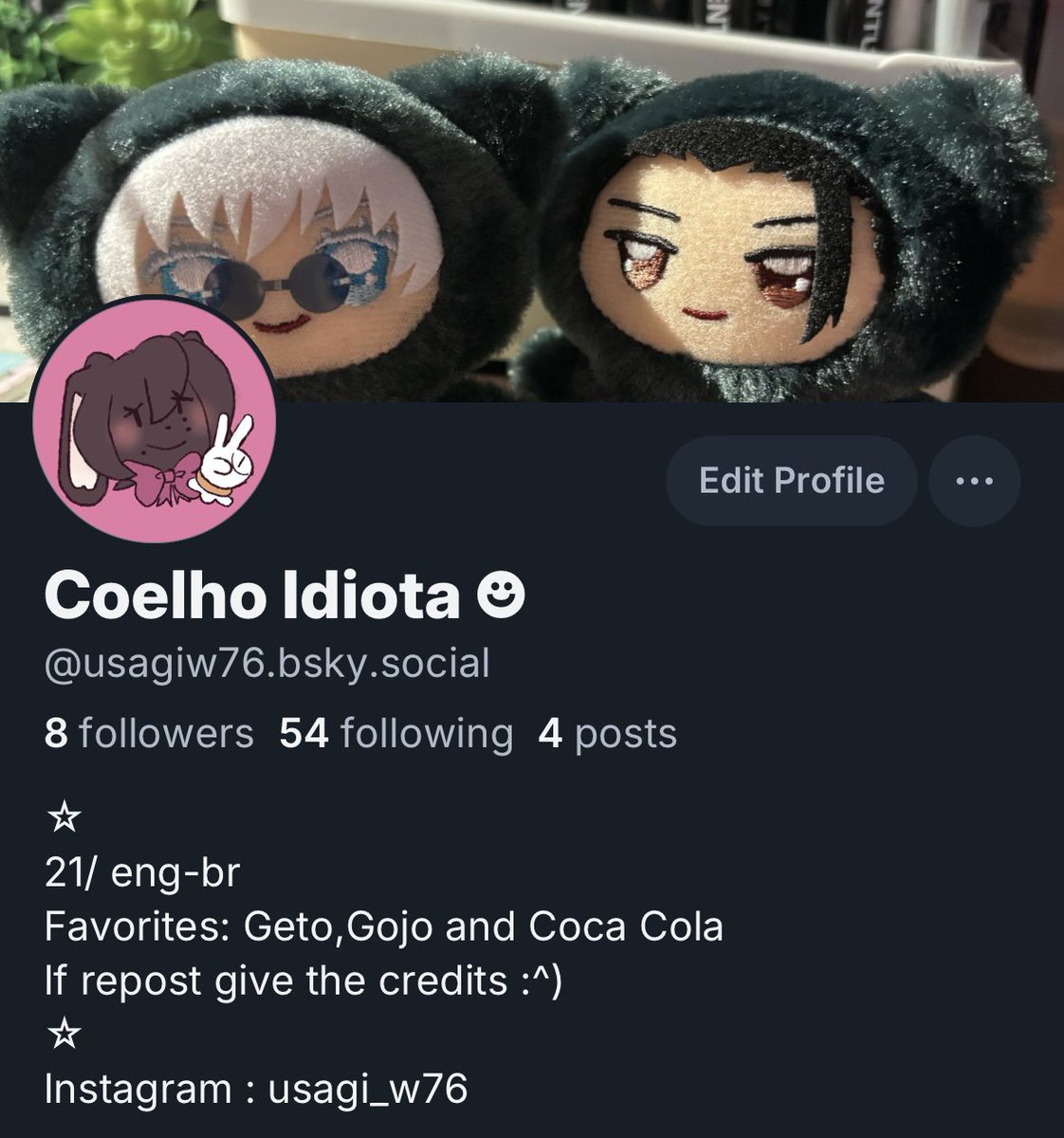 coelho idiota ☻ tweet media