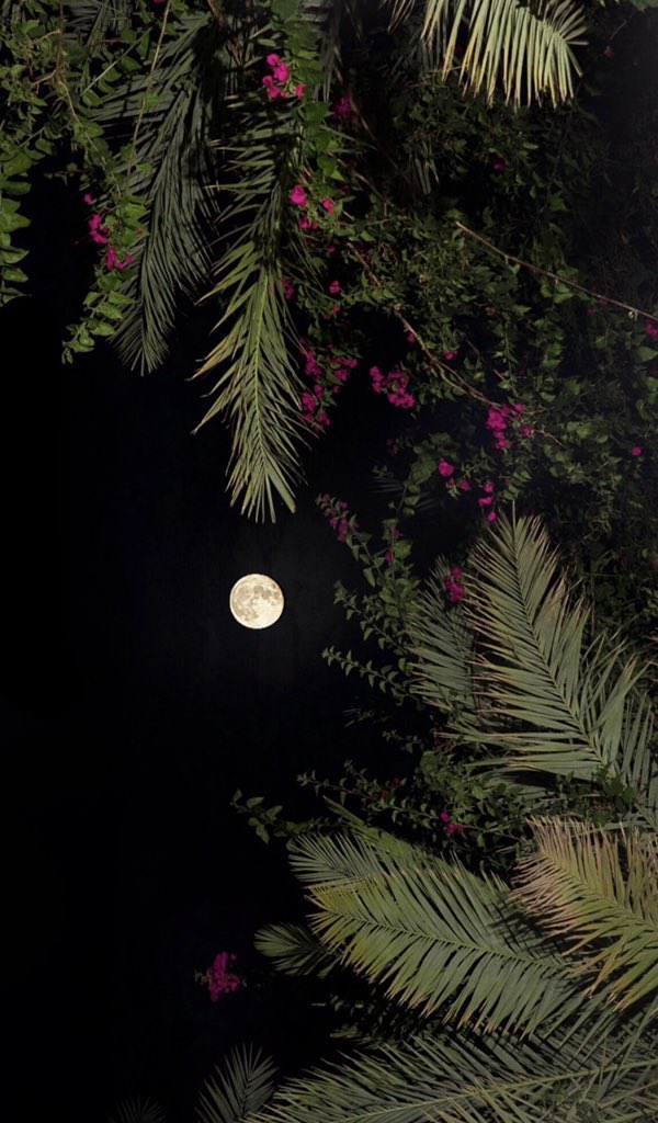 هاتوا صور للقمر أجمل من هذي إذا تقدرون