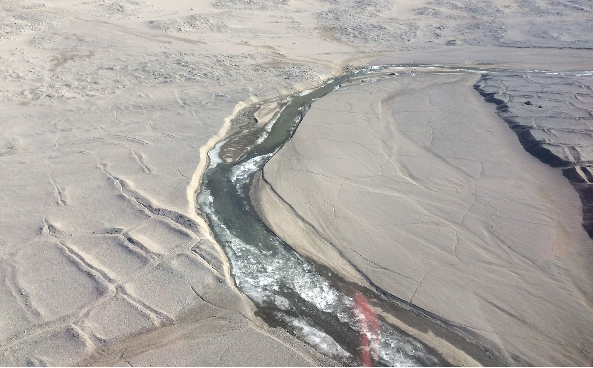 Joe Levy tweet media