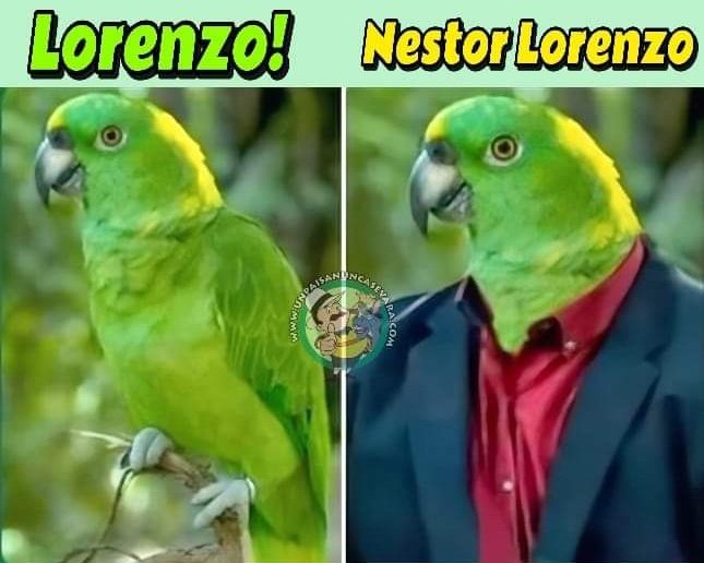 ElGolGarracol's tweet photo. 🤣 https://t.co/ABCH5lCNkk
