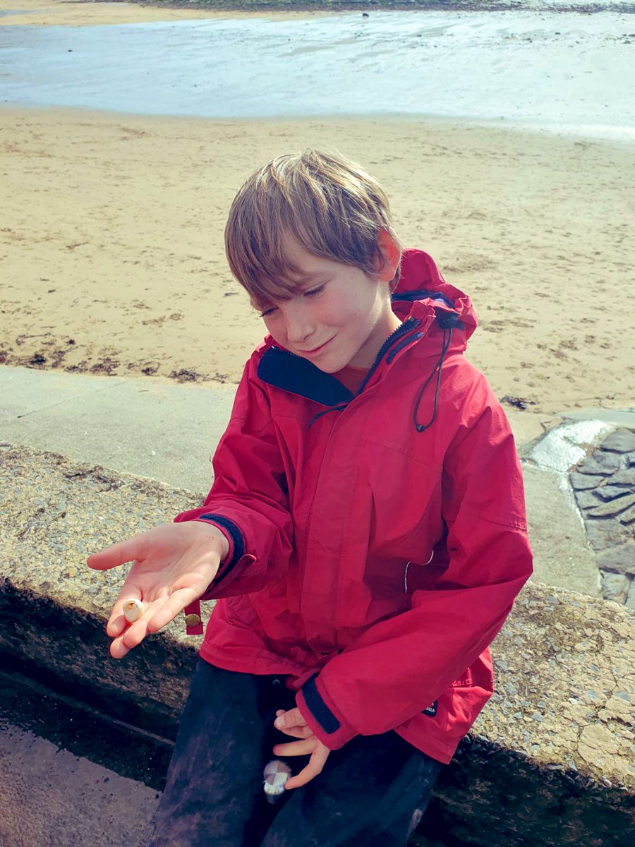 Alexandra Primary School tweet media