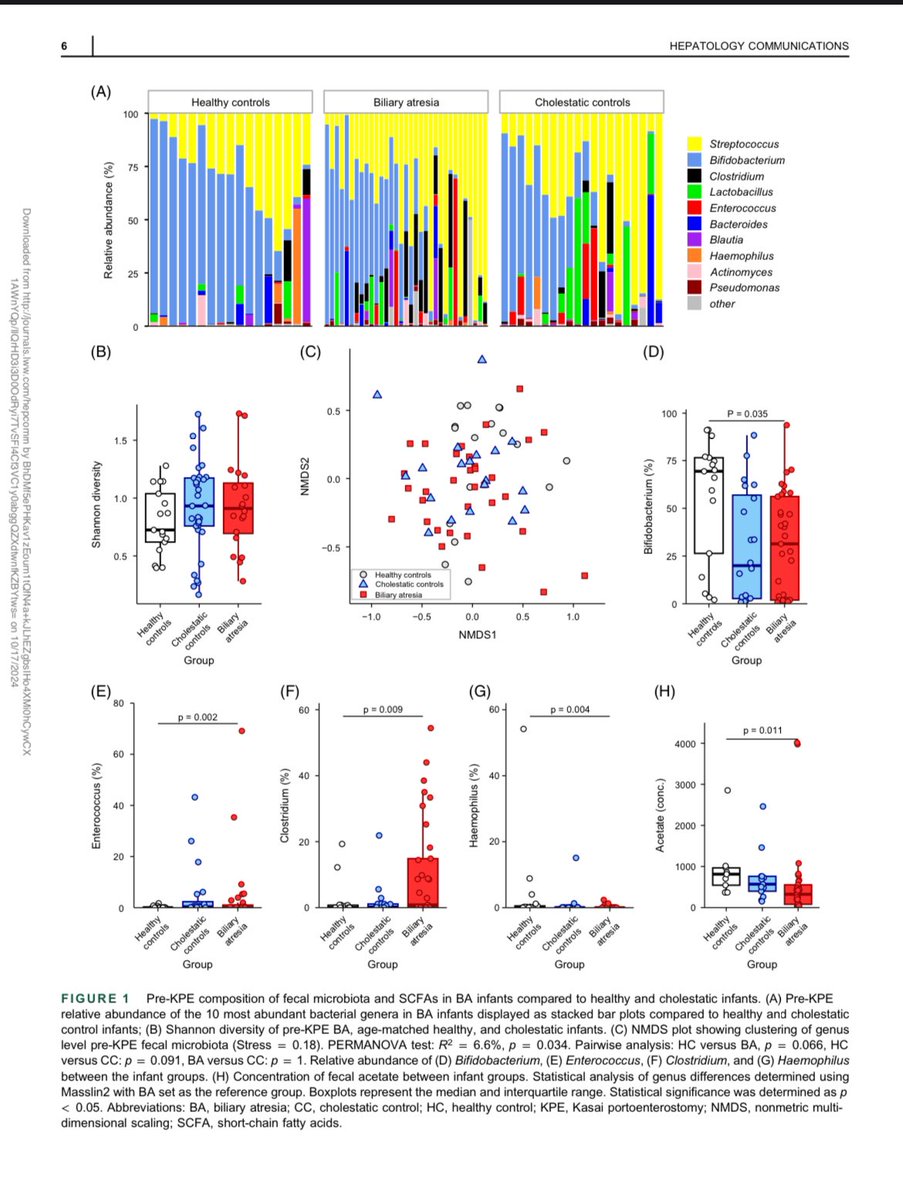 Biliary atresia is the most common reason for liver transplant in kids

There is great hope that modifying the gut microbiome could improve outcomes before and after Kasai

This longitudinal study from Vandana Jain is a giant leap forward

journals.lww.com/hepcomm/fullte…