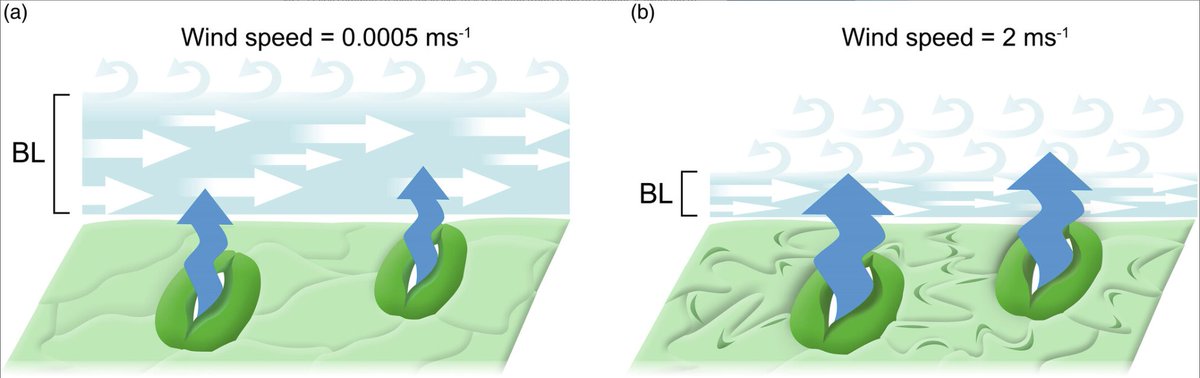 The Plant Journal tweet media