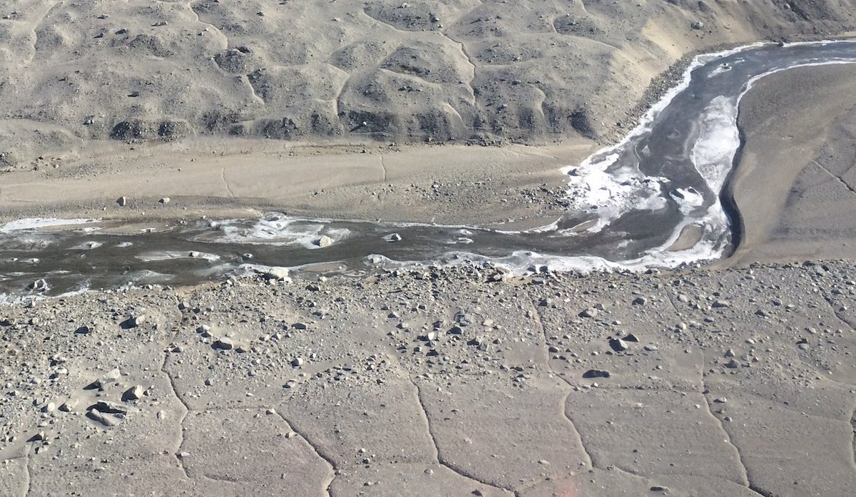 Joe Levy tweet media