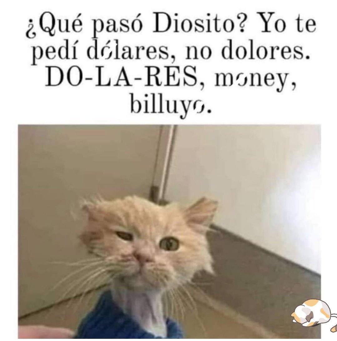 The Witch🔮Bitch (@machainanimales) on Twitter photo 