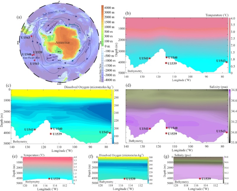 IODP at Texas A&M (@jrso_iodp) on Twitter photo New #Exp383 publication! "Recent deep-sea nematodes and agglutinated foraminifera select specific grains and bioclasts from their environments: Ecological implications" doi.org/10.1016/j.marm…
#IODP #JRSO #NSFfunded <a href="/TheJR/">JOIDES Resolution</a> <a href="/NSF/">U.S. National Science Foundation</a> New #Exp383 publication! "Recent deep-sea nematodes and agglutinated foraminifera select specific grains and bioclasts from their environments: Ecological implications" doi.org/10.1016/j.marm…
#IODP #JRSO #NSFfunded <a href="/TheJR/">JOIDES Resolution</a> <a href="/NSF/">U.S. National Science Foundation</a>