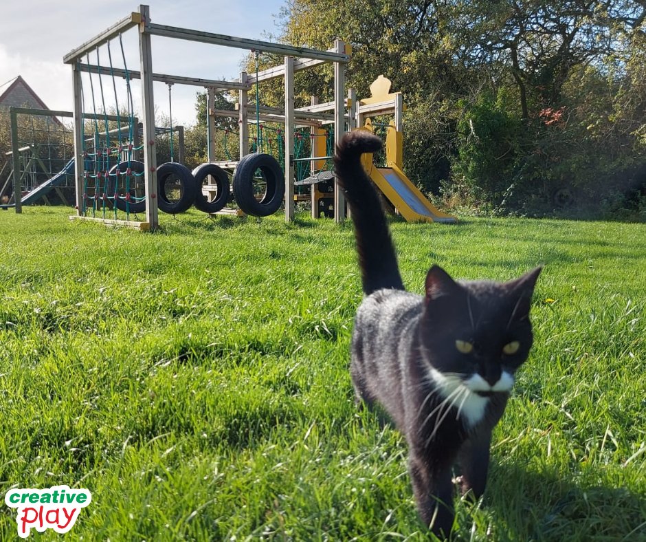 CreativePlayUK's tweet photo. 🐾Paws up, humans - playtime isn’t just for kids anymore! Turns out, our #playgroundequipment doubles up as the purr-fect cat #playground🐈
😺#CatPlaygroundTakeover #PurrfectPlaytime #MeowtainClimbers #PawsToPlay #MeowAndGo #PlaygroundPurrfection #NotJustForKids #CatsOfTwitter https://t.co/lElrCeLpW5