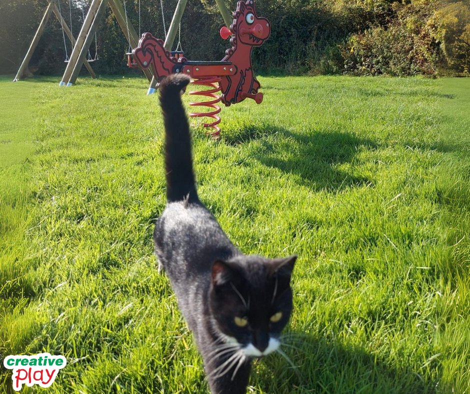 CreativePlayUK's tweet photo. 🐾Paws up, humans - playtime isn’t just for kids anymore! Turns out, our #playgroundequipment doubles up as the purr-fect cat #playground🐈
😺#CatPlaygroundTakeover #PurrfectPlaytime #MeowtainClimbers #PawsToPlay #MeowAndGo #PlaygroundPurrfection #NotJustForKids #CatsOfTwitter https://t.co/lElrCeLpW5