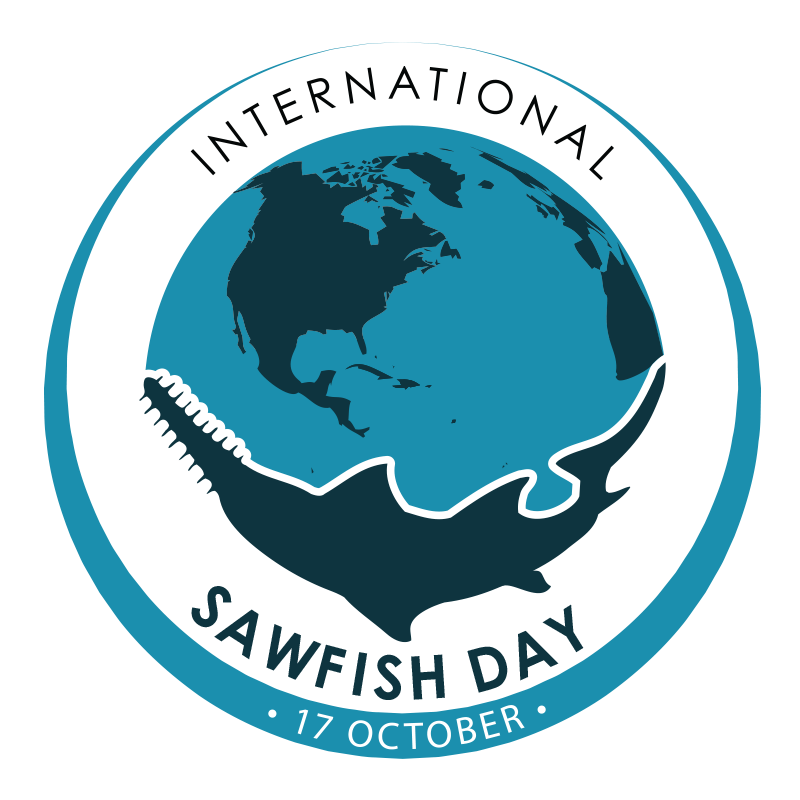 It’s #InternationalSawfishDay! Today we honor Sawfish, one of the most threatened groups of marine fish, due to overexploitation and habitat loss. We must continue conservation efforts to preserve these species as they are crucial in maintaining our marine ecosystems! #SAWFIES