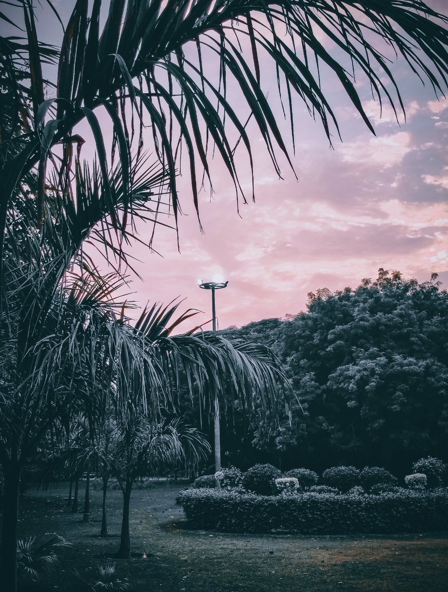 JainendraNahata's tweet photo. Sunset
#MyPhotography
#ShotOnSnapdragon
#EditedInLightroom https://t.co/8a0vNWXQkY