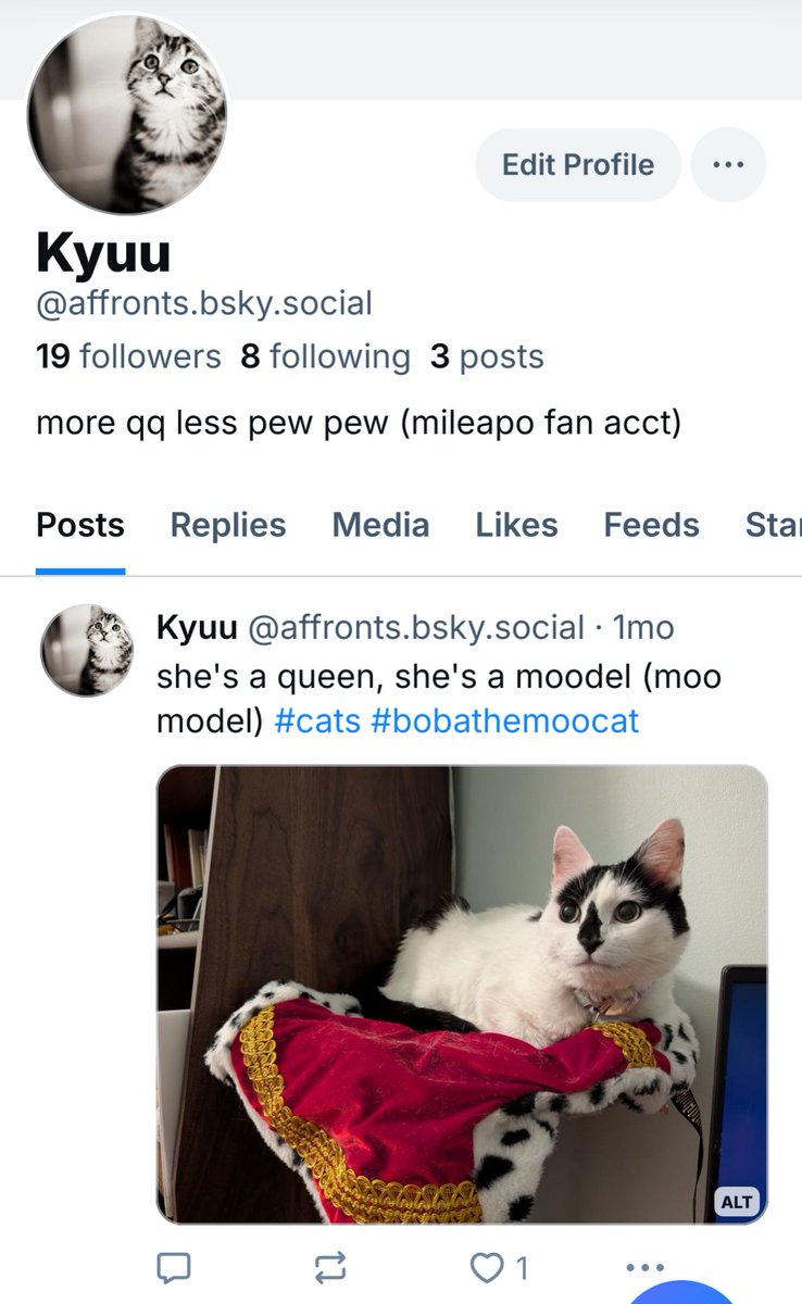 Tweet media one