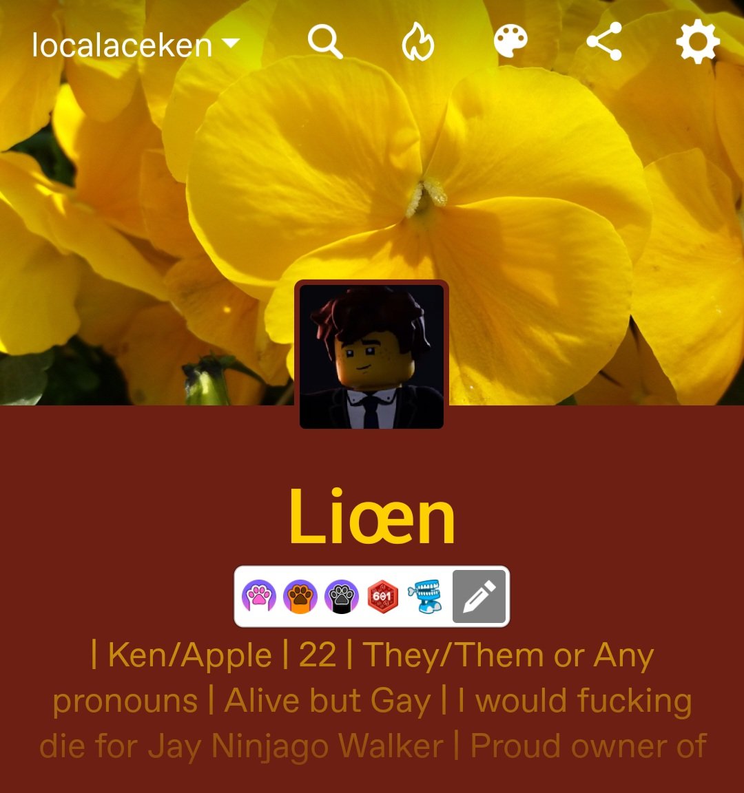 Localaceken's tweet image. If this hellsite goes down y'all can find me here 👉👈 I'm mostly [very] active on tumble btw