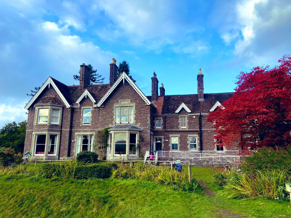 Alexandra Primary School tweet media