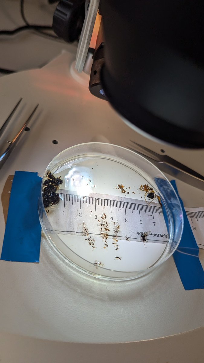 Catrin Eden tweet media