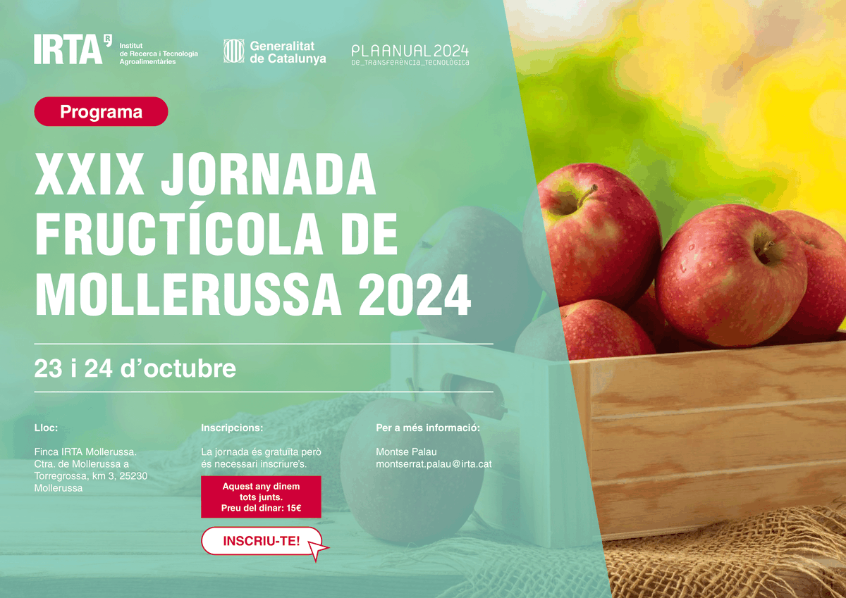 La Jornada Fructícola de Mollerussa 2024 ja és aquí! 🙌 No et pots perdre aquesta trobada única, plena de #recerca, demostracions de camp i ponències d’experts!

📅 23 i 24 d'octubre
📍 Mollerussa
✅ Més informació: transferencia.irta.cat/activitats/jor…

#TransferènciaIRTA #PATT2024