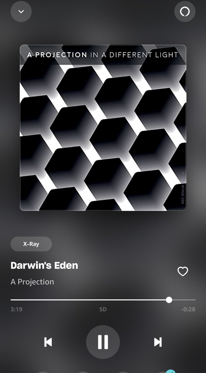 KatiesDisorder's tweet photo. I have to see this band one day this song is just perfection, and so is the album #DarwinsEden #AProjection #Postpunk 🎶🖤 https://t.co/VQvdPUP239