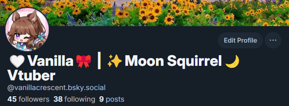 🤍Vanilla🎀 | ✨ Moon Squirrel 🌙 VTuber tweet media