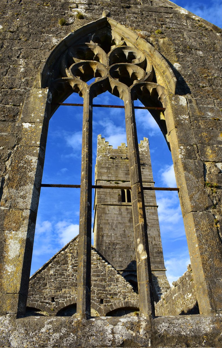 David Hicks tweet media