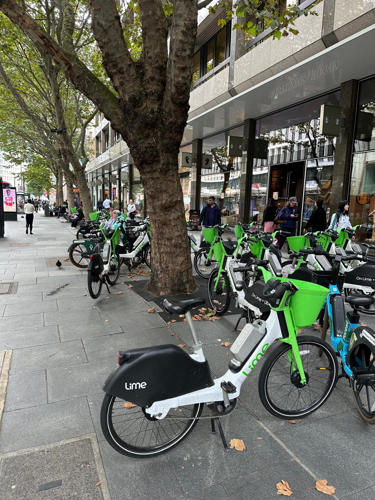 Public Bicycle pksntiful Companies 2024