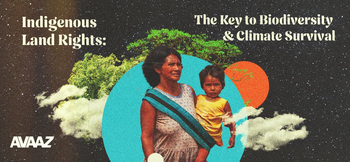 #COP16Colombia: Indigenous land rights are essential for biodiversity &amp; climate 

As COP16 approaches, Indigenous solutions are vital. Access key data and insights to amplify their voices. 

📷 Download our media brief now: secure.avaaz.org/Cop16mediaen