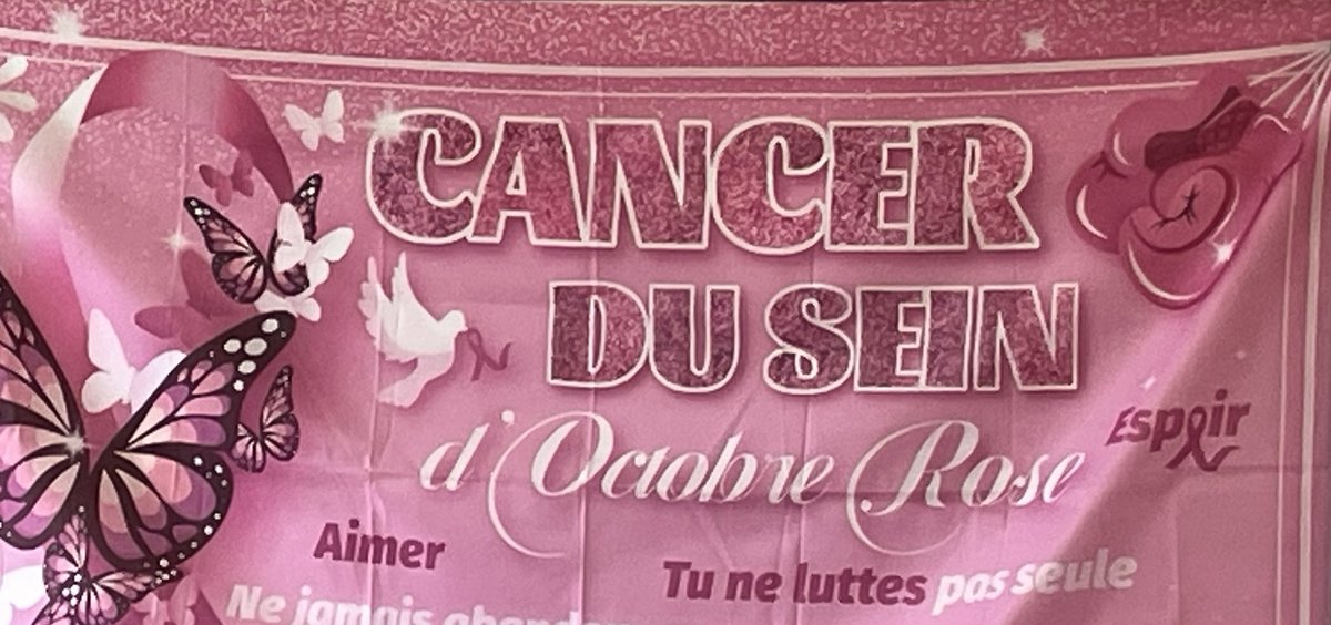 Octobre rose, suite : aujourd’hui, la classe de 1 BP MA a accueilli l’association Les Prinseinses. Bilan des actions, échanges, émotions. Nos élèves se sont profondément investis pour cette réussite ! Merci à toutes et tous. #prinseinses <a href="/DSDEN79/">DSDEN Deux-Sèvres</a> #cancer #lutte
