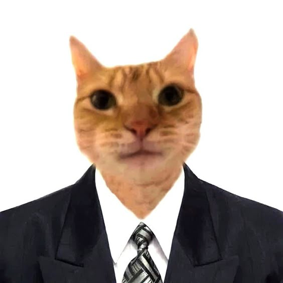 Brombeere_star's tweet photo. Alright my kittens, I have news - I was hired. And this means that now there will be a change in content and I will work on my characters and develop the setting, well, and maybe a little fan art. Finally, I will probably be able to sit down to comics https://t.co/mMpn9cBxVS