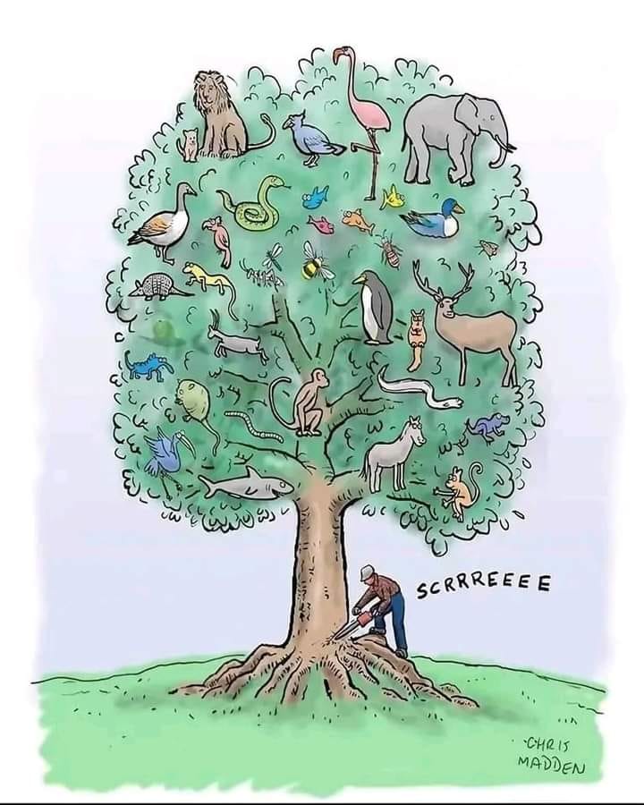 Enviro. Media Assoc. tweet media