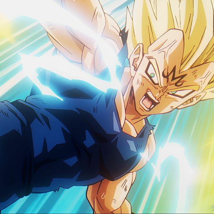 Daily Vegeta (@vegeta_daily) on Twitter photo 