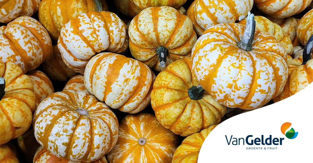De herfst is het ideale seizoen voor pompoenen. Ons assortiment zit vol bijzondere varianten, bijvoorbeeld de Acorn pompoen, nieuw in ons assortiment. 

👉vangeldernederland.nl/nl_NL/p/pompoe…