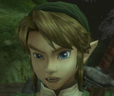 pikzel08's tweet photo. the way Twilight Princess Link looks so offended when he loses a fish https://t.co/AdzadPZI4I